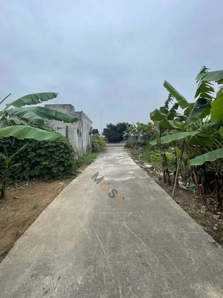 Bán đất Tràng Duệ Quận An Dương, TP. Hải Phòng – giá 1 tỷ — Hình 2