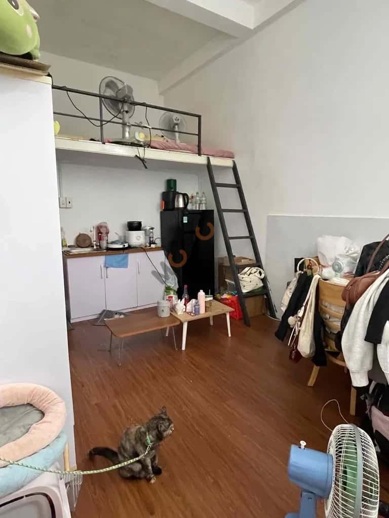 Cho thuê phòng trọ Dương Bá Trạc Quận 8, TP.HCM – 4 phòng ngủ, giá 1.5 triệu