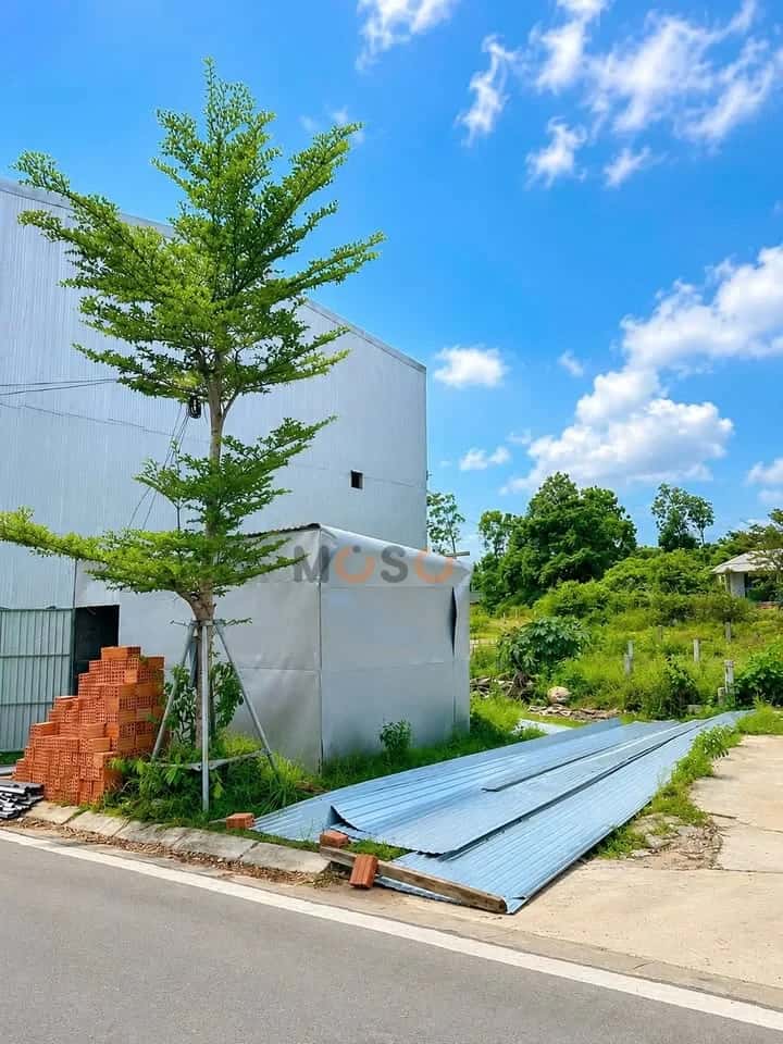 Bán đất Kiệt 309 Trưng Nữ Vương Thị xã Hương Thủy, TP. Huế – giá 1.9 tỷ Bán đất Kiệt 309 Trưng Nữ Vương Thị xã Hương Thủy, TP. Huế – giá 1.9 tỷ