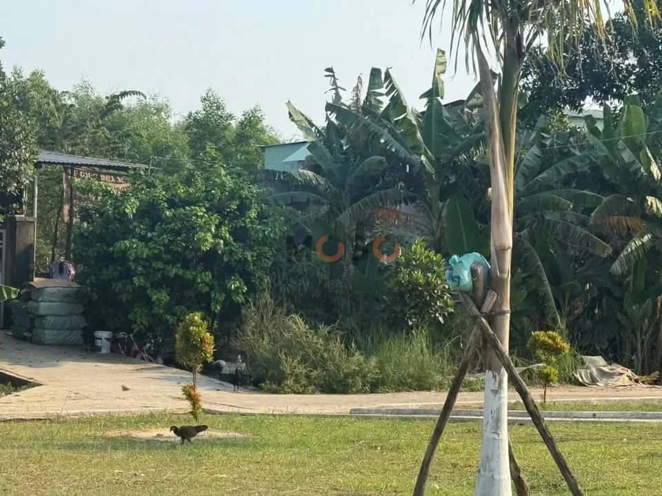 Bán đất Khối phố Cẩm Sa Thị xã Điện Bàn, Quảng Nam – giá 2.4 tỷ Bán đất Khối phố Cẩm Sa Thị xã Điện Bàn, Quảng Nam – giá 2.4 tỷ