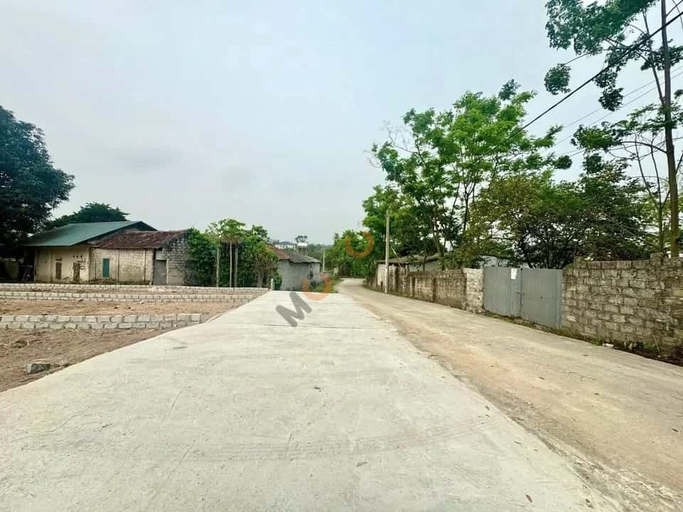 Bán đất Thôn Tân Lập Huyện Tam Đảo, Vĩnh Phúc – giá 586 triệu — Hình 2 Bán đất Thôn Tân Lập Huyện Tam Đảo, Vĩnh Phúc – giá 586 triệu — Hình 2