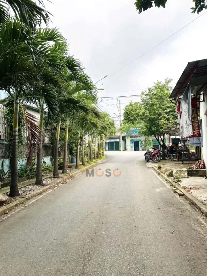 Bán đất Đường Bùi Ngọc Thu Thành phố Thủ Dầu Một, Bình Dương – giá 1.6 tỷ - ảnh 4