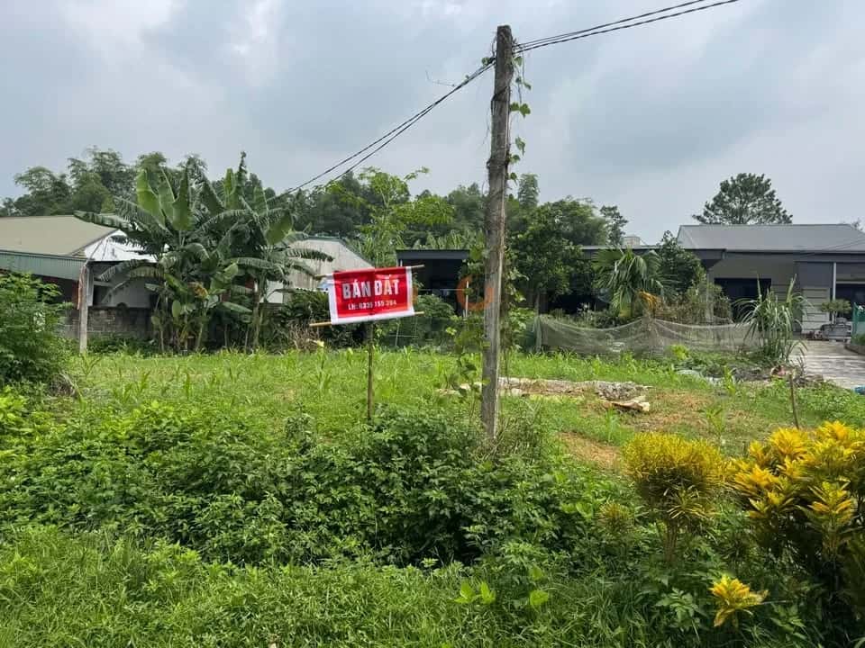 Bán đất Xóm Liên Hồng 6 Huyện Phú Lương, Thái Nguyên – giá 1.6 tỷ Bán đất Xóm Liên Hồng 6 Huyện Phú Lương, Thái Nguyên – giá 1.6 tỷ