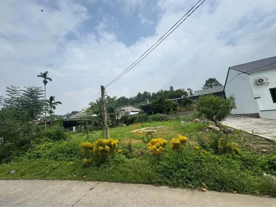 Bán đất Xóm Liên Hồng 6 Huyện Phú Lương, Thái Nguyên – giá 1.6 tỷ — Hình 3 Bán đất Xóm Liên Hồng 6 Huyện Phú Lương, Thái Nguyên – giá 1.6 tỷ — Hình 3