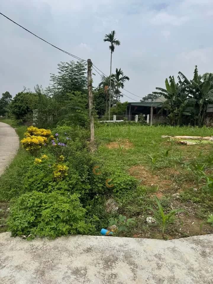 Bán đất Xóm Liên Hồng 6 Huyện Phú Lương, Thái Nguyên – giá 1.6 tỷ — Hình 2 Bán đất Xóm Liên Hồng 6 Huyện Phú Lương, Thái Nguyên – giá 1.6 tỷ — Hình 2