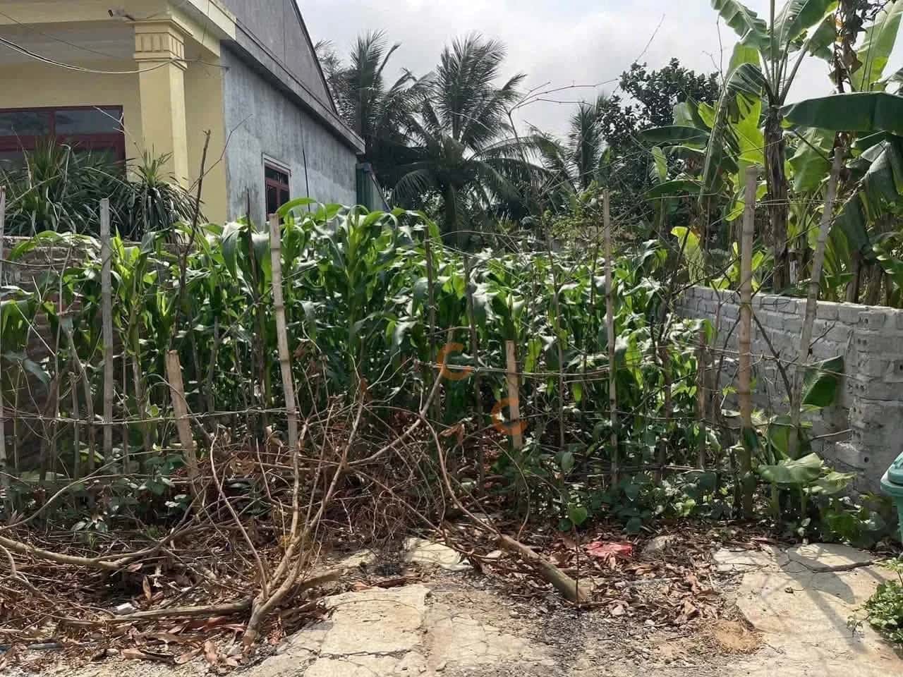 Bán đất Thôn Đông Nham Huyện An Lão, TP. Hải Phòng – giá 1.4 tỷ