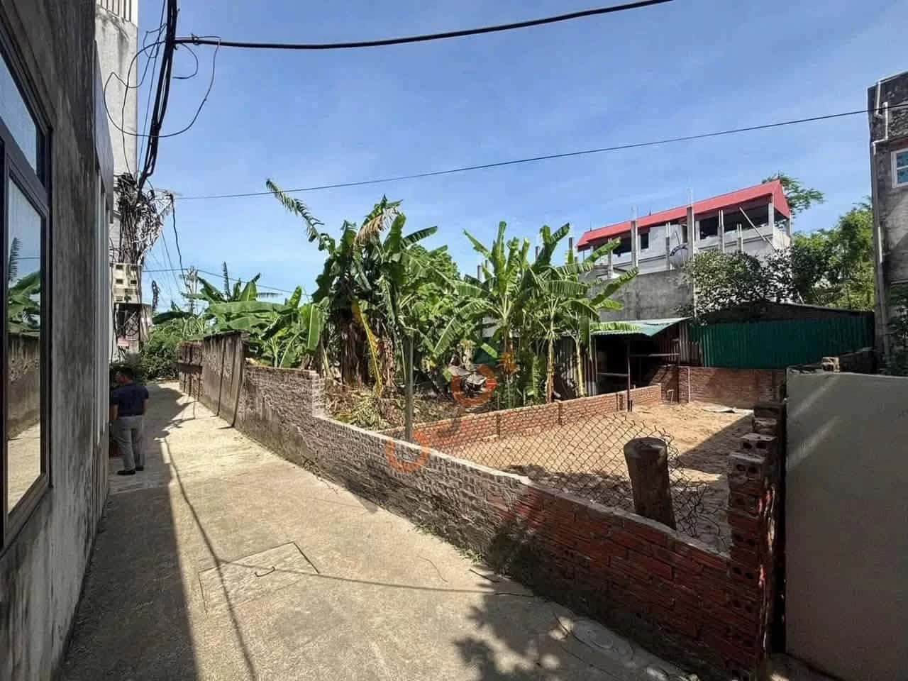 Bán đất Thôn Cán Khê Huyện Đông Anh, TP. Hà Nội – giá 4.4 tỷ - ảnh 2
