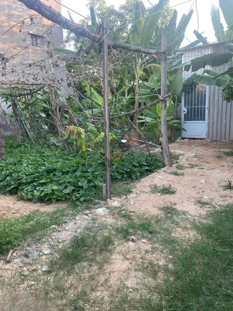 Bán đất Phong Châu  Thành phố Nha Trang, Khánh Hòa – giá 10.5 tỷ - ảnh 1