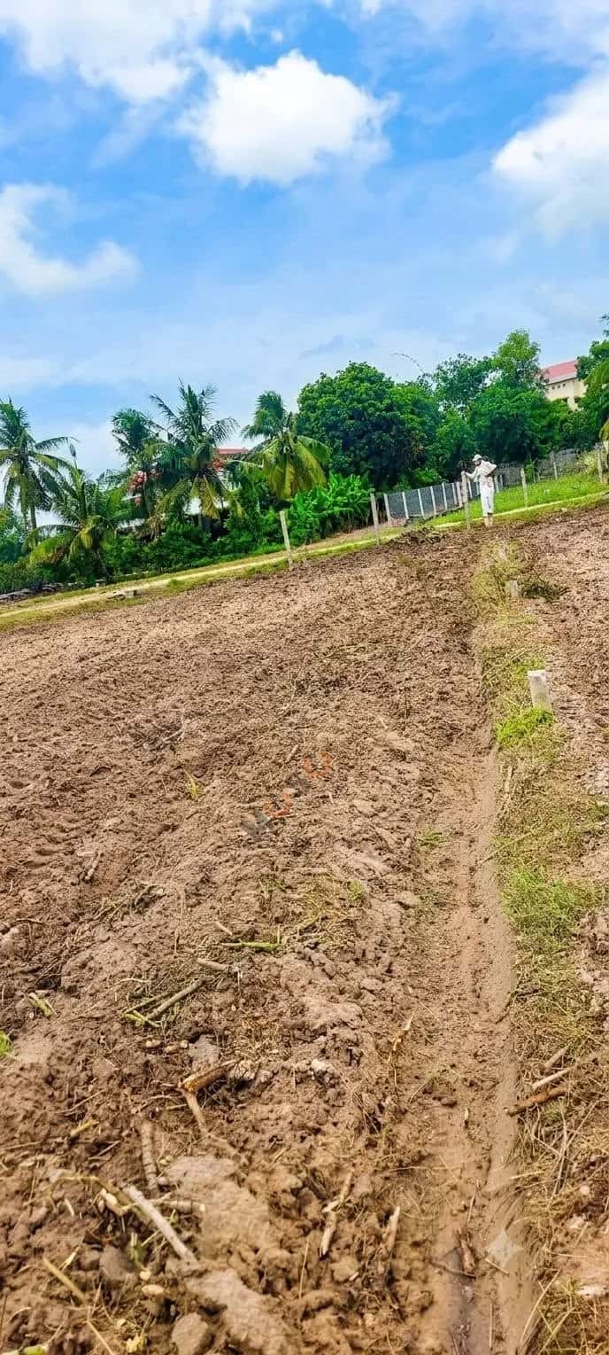 Bán đất Ấp Suối Dộp Huyện Châu Thành, Tây Ninh – giá 350 triệu — Hình 2 Bán đất Ấp Suối Dộp Huyện Châu Thành, Tây Ninh – giá 350 triệu — Hình 2