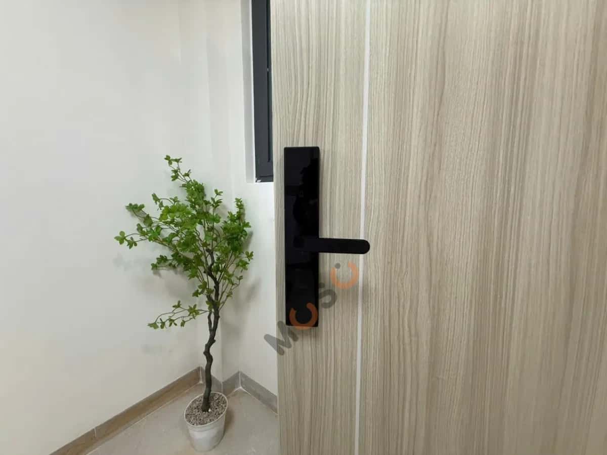 Cho thuê căn hộ chung cư Đường Bình Lợi Bình Lợi Trung, TP.HCM – giá 5.6 triệu — Hình 3