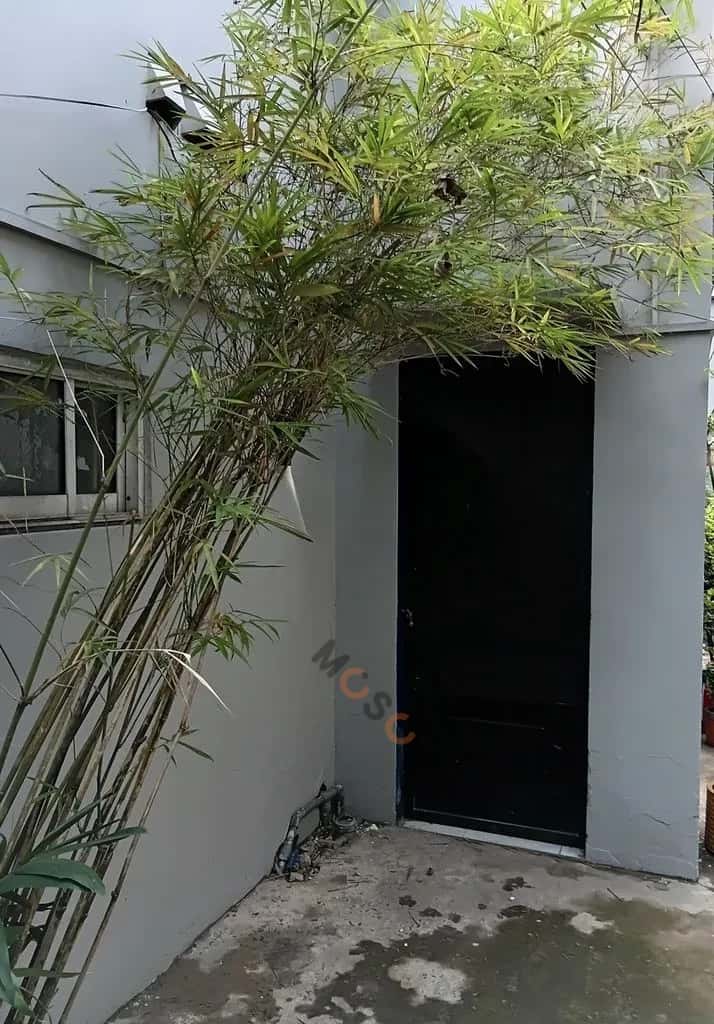 Cho thuê phòng trọ Võ Văn Ngân Thủ Đức, Ho Chi Minh – 1 phòng ngủ, giá 2.5 triệu Cho thuê phòng trọ Võ Văn Ngân Thủ Đức, Ho Chi Minh – 1 phòng ngủ, giá 2.5 triệu