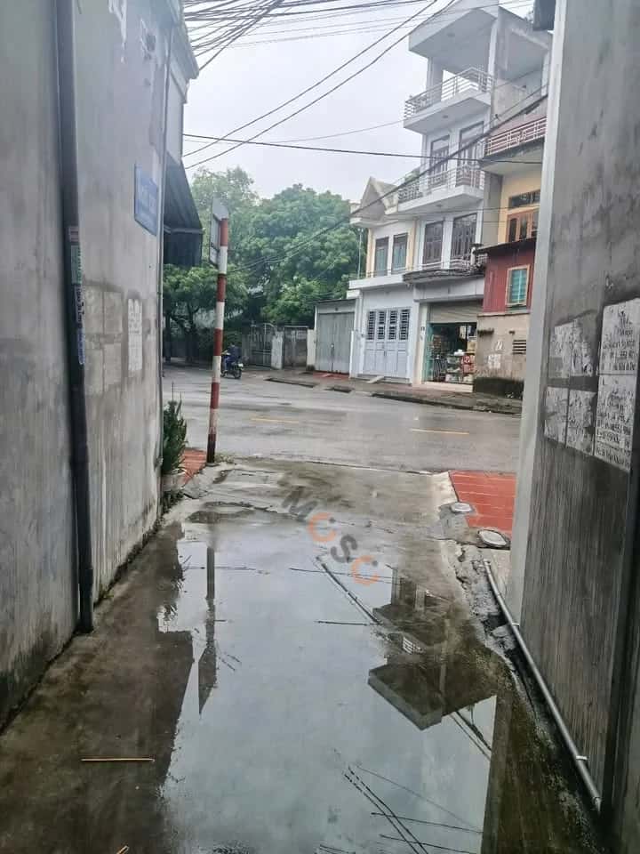 Bán đất Ngõ 133 Nguyễn Hữu Cầu Thành phố Hải Dương, Hải Dương – giá 1.5 tỷ — Hình 2 Bán đất Ngõ 133 Nguyễn Hữu Cầu Thành phố Hải Dương, Hải Dương – giá 1.5 tỷ — Hình 2