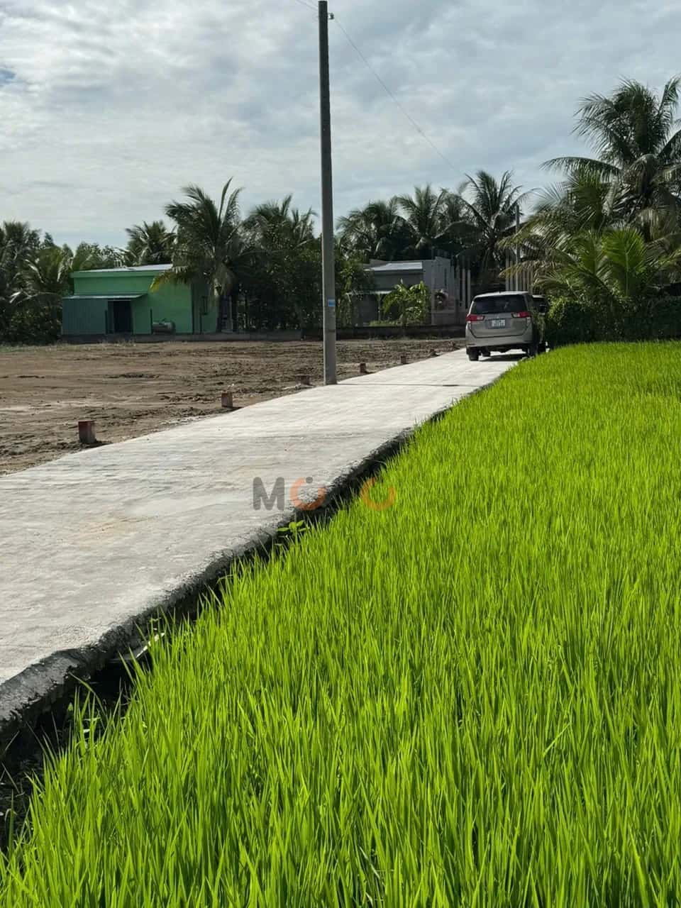 Bán đất Xóm Đình, ấp 4 Huyện Cần Đước, Long An – giá 864 triệu - ảnh 4