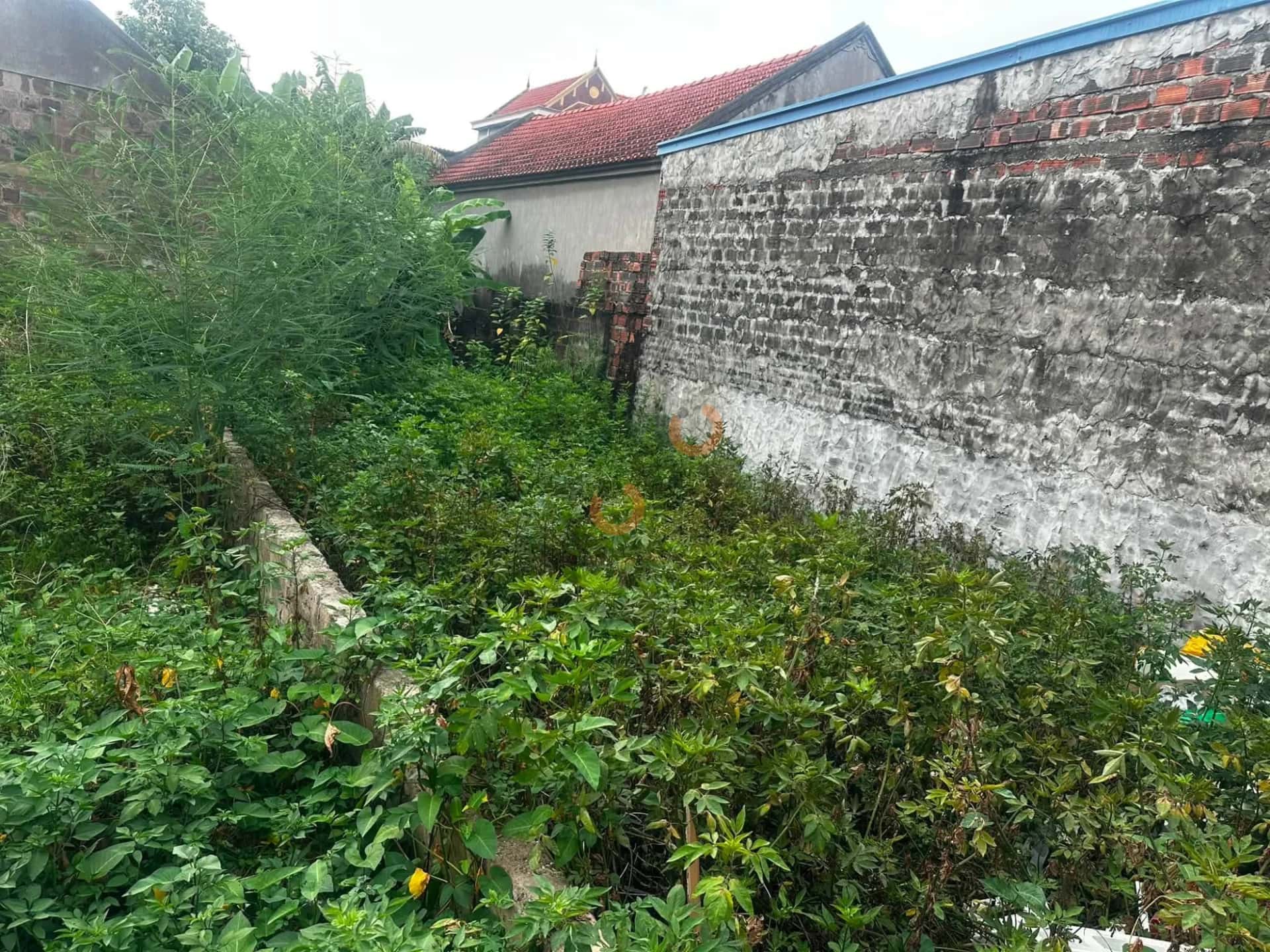 Bán đất Thôn Quản Thành phố Thuỷ Nguyên, TP. Hải Phòng – giá 3.1 tỷ