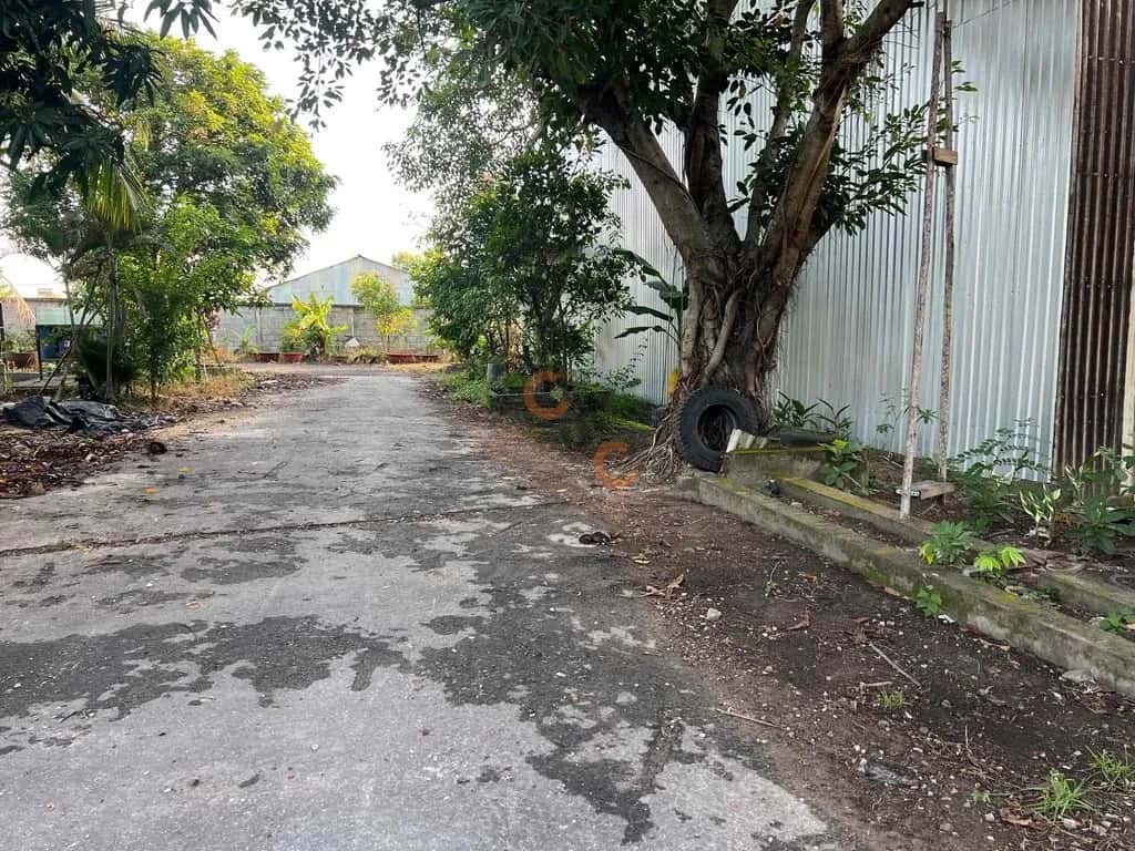 Cho thuê kho, nhà xưởng Huyện Củ Chi, Ho Chi Minh – giá 19 triệu — Hình 2 Cho thuê kho, nhà xưởng Huyện Củ Chi, Ho Chi Minh – giá 19 triệu — Hình 2