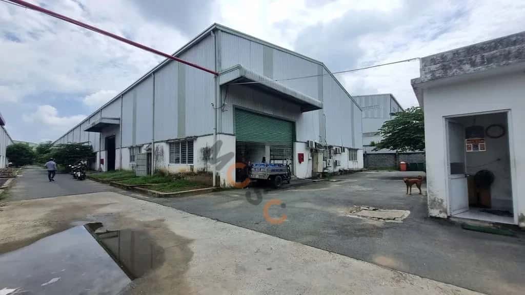 Cho thuê kho, nhà xưởng Đường tỉnh 824 Đức Hòa, Tây Ninh – giá 146 triệu — Hình 2