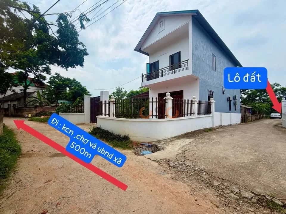 Bán đất Thôn Làng Chanh  Huyện Tam Đảo, Vĩnh Phúc – giá 1.3 tỷ — Hình 3