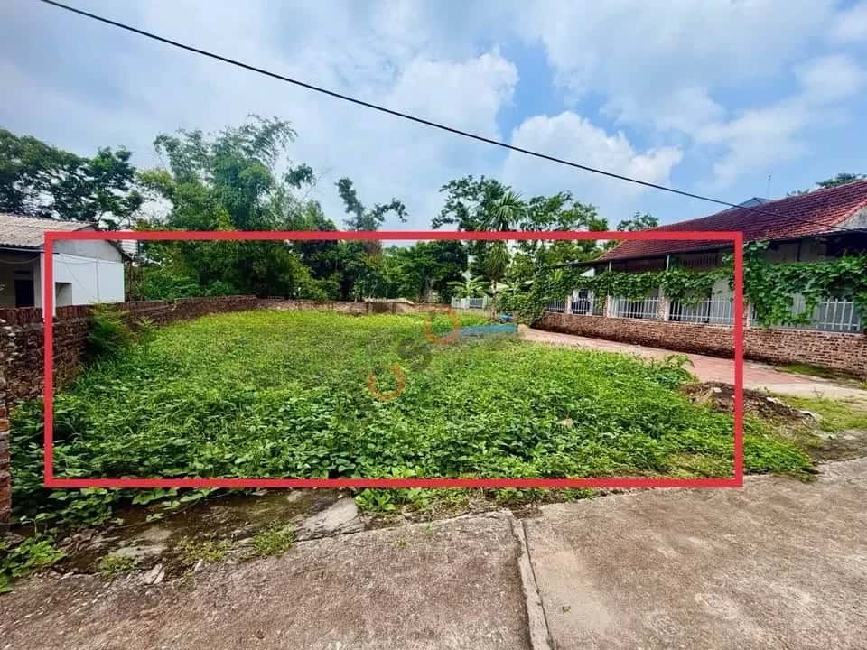 Bán đất Thôn Làng Chanh  Huyện Tam Đảo, Vĩnh Phúc – giá 1.3 tỷ