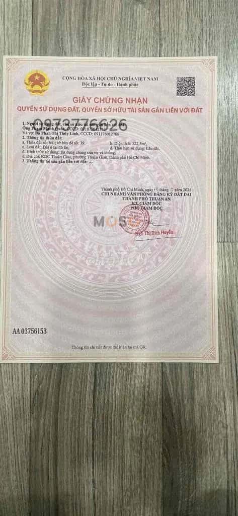 Bán đất Đường D8 Thành phố Thuận An, TP.HCM – giá 11.4 tỷ - ảnh 4