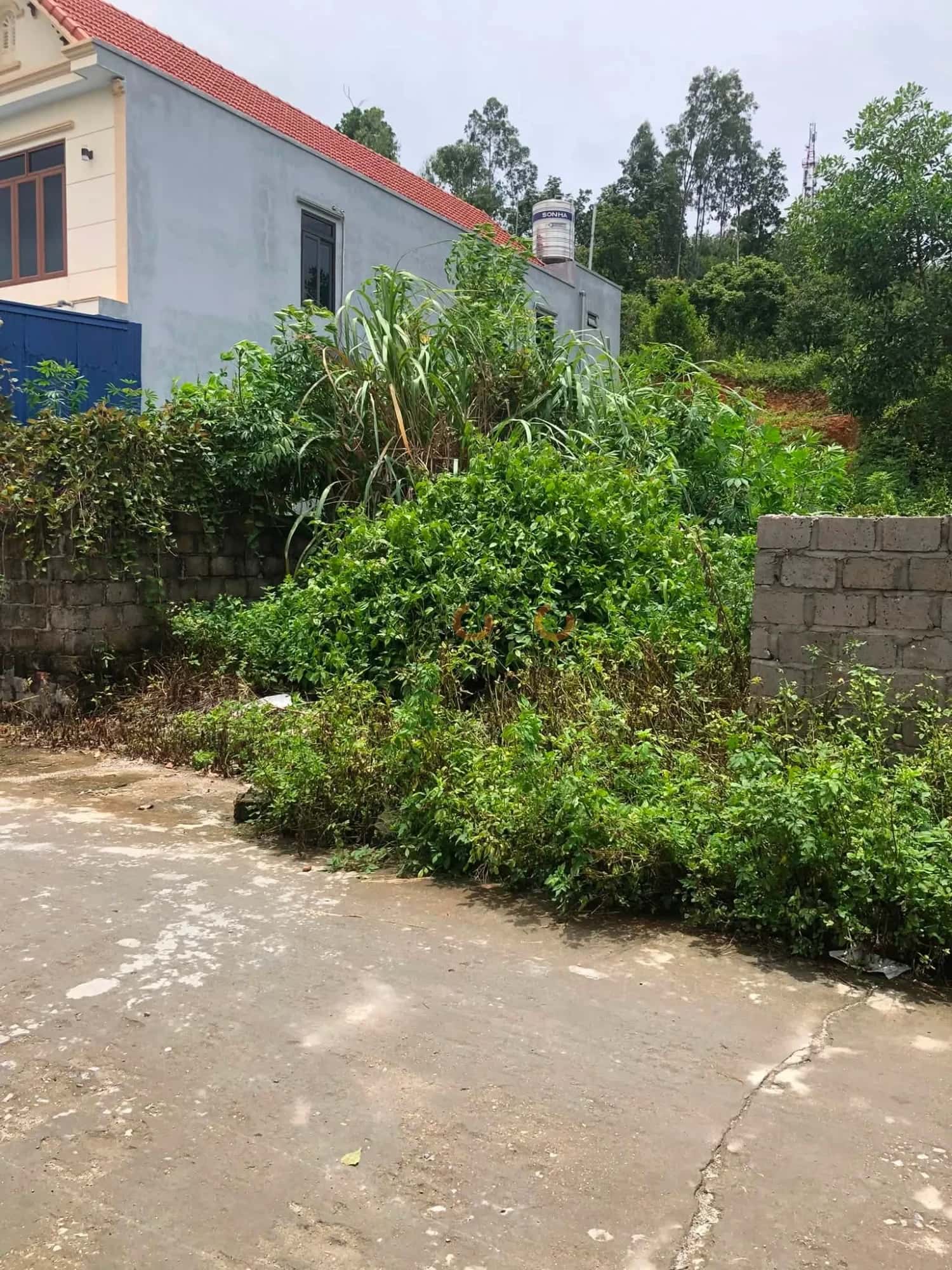 Bán đất Thôn Trung Thành phố Thuỷ Nguyên, TP. Hải Phòng – giá 1.7 tỷ — Hình 2