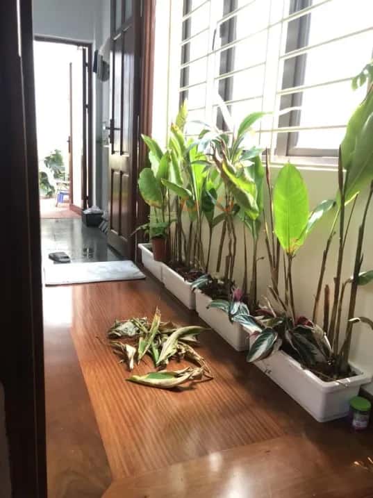 Cho thuê nhà hẻm Văn Miếu - Quốc Tử Giám, Hà Nội – 3 phòng ngủ, giá 12.5 triệu — Hình 2 Cho thuê nhà hẻm Văn Miếu - Quốc Tử Giám, Hà Nội – 3 phòng ngủ, giá 12.5 triệu — Hình 2