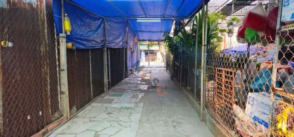 Cho thuê nhà mặt tiền Nguyễn Văn Tạo Huyện Nhà Bè, Ho Chi Minh – giá 1.8 triệu