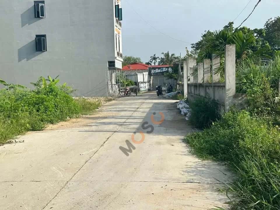 Bán đất Thôn Tây Sơn Huyện Tam Đảo, Vĩnh Phúc – giá 1.3 tỷ — Hình 3