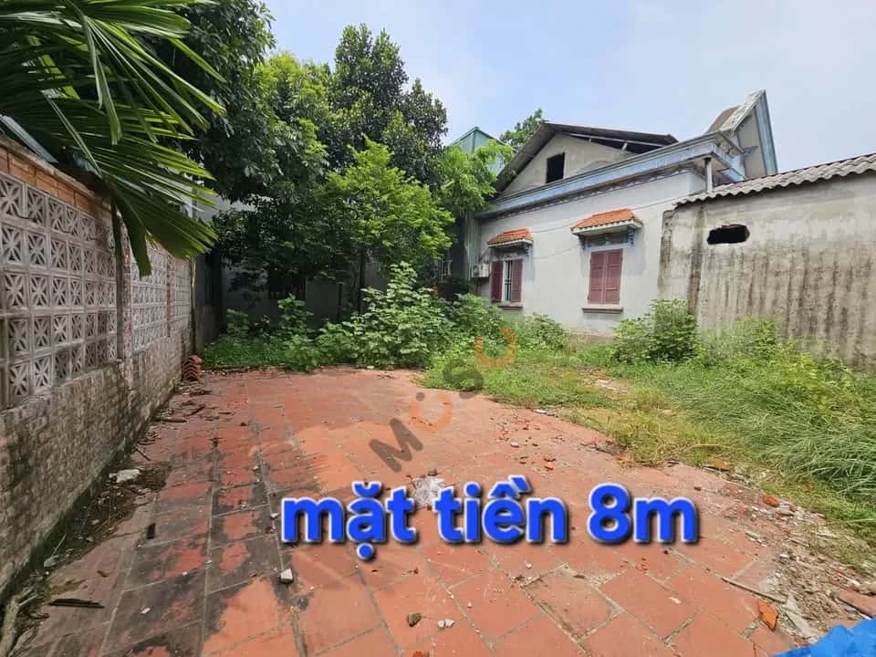 Bán đất Thôn Vĩnh Trung 2 Huyện Yên Lạc, Vĩnh Phúc – giá 2 tỷ — Hình 2 Bán đất Thôn Vĩnh Trung 2 Huyện Yên Lạc, Vĩnh Phúc – giá 2 tỷ — Hình 2