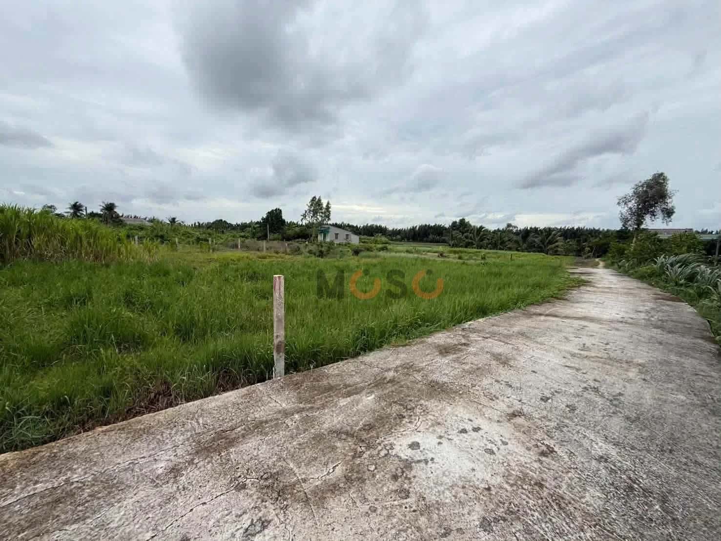 Bán đất Ấp Ái Ngãi Huyện Châu Thành, Long An – giá 280 triệu