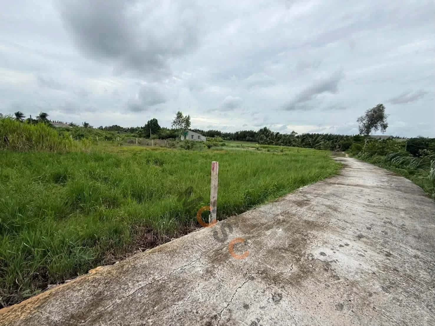 Bán đất Ấp Ái Ngãi Huyện Châu Thành, Long An – giá 280 triệu — Hình 2