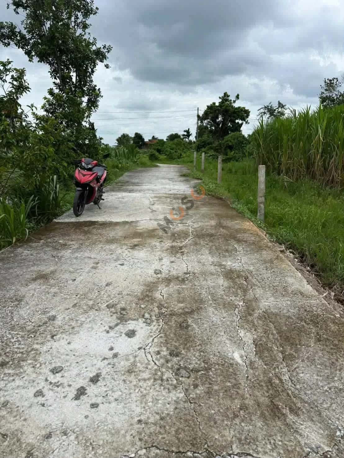 Bán đất Ấp Ái Ngãi Huyện Châu Thành, Long An – giá 280 triệu — Hình 3