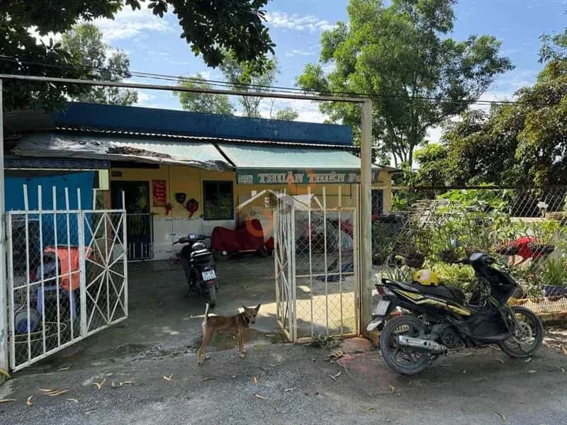 Cho thuê đất Vườn Thơm Huyện Bình Chánh, TP.HCM – giá 5 triệu Cho thuê đất Vườn Thơm Huyện Bình Chánh, TP.HCM – giá 5 triệu