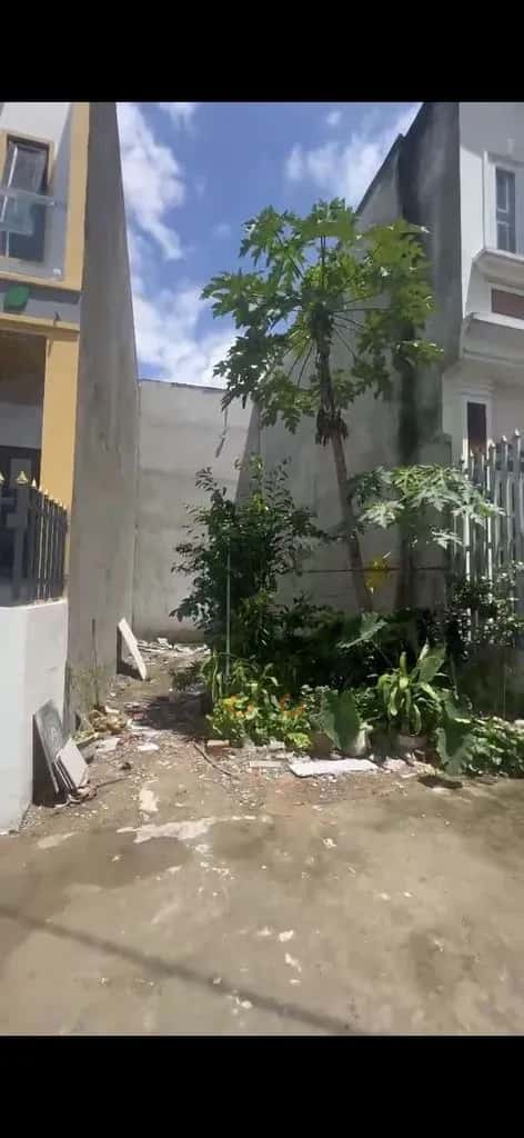Bán đất tỉnh lộ 824 Huyện Đức Hòa, Tay Ninh – giá 295 triệu - ảnh 4
