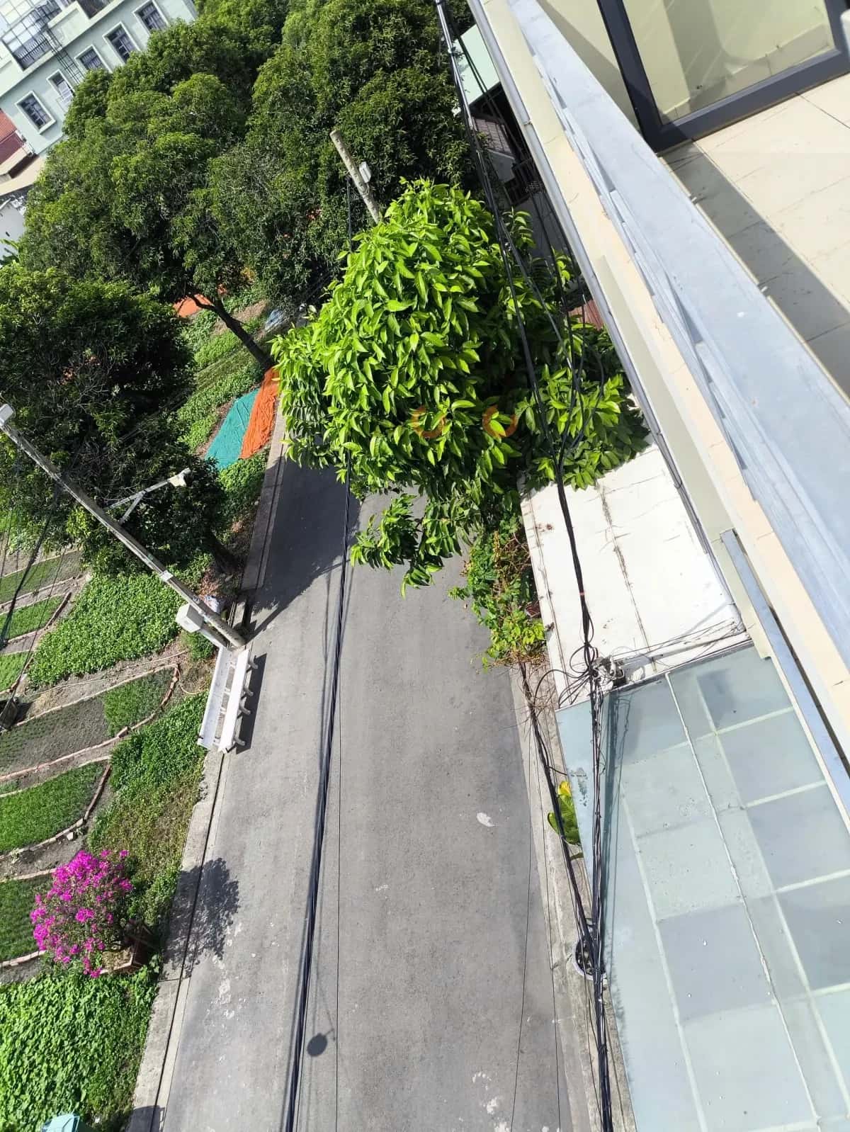 Cho thuê phòng trọ Thủy Lợi Quận 9, TP.HCM – 2 phòng ngủ, giá 3 triệu — Hình 2