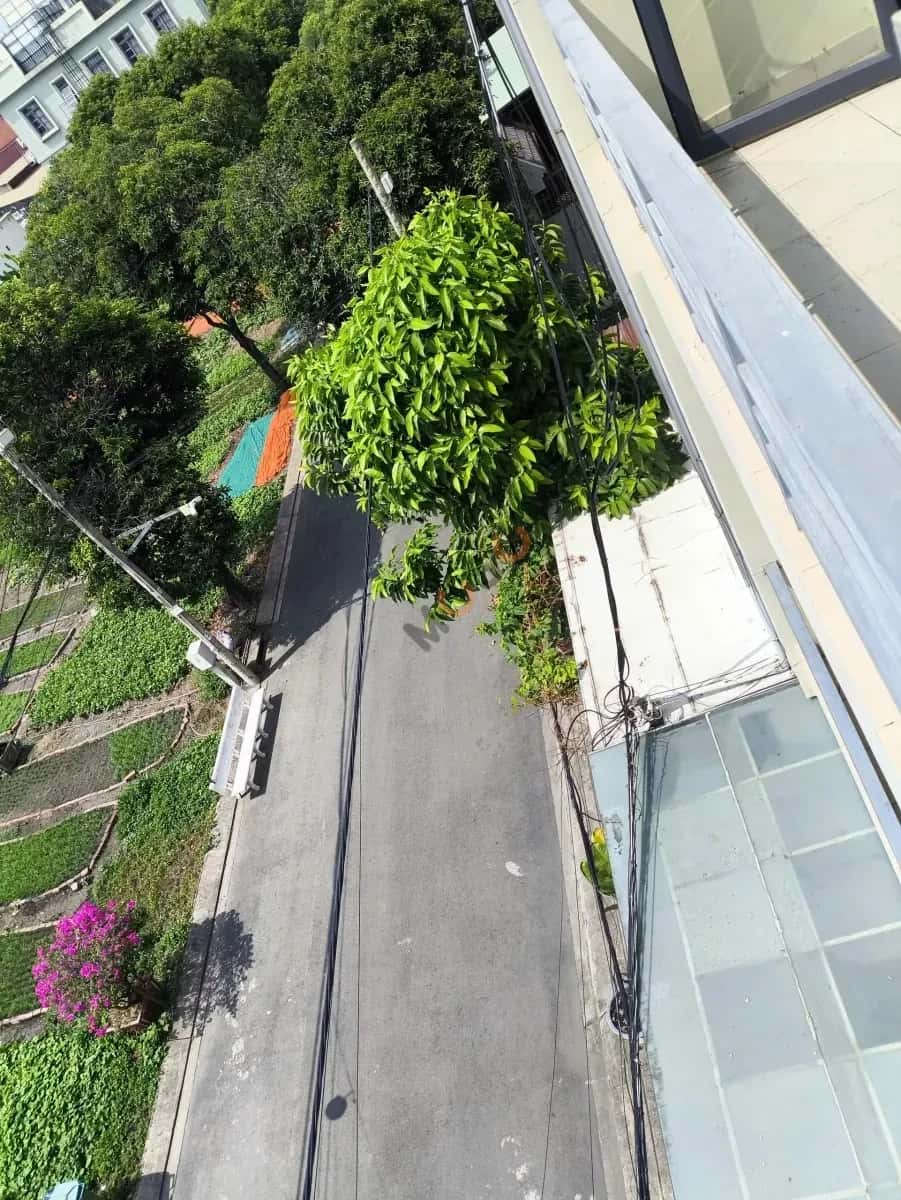 Cho thuê phòng trọ Đường Liên Phường Thành phố Thủ Đức, TP.HCM – 1 phòng ngủ, giá 3 triệu — Hình 3