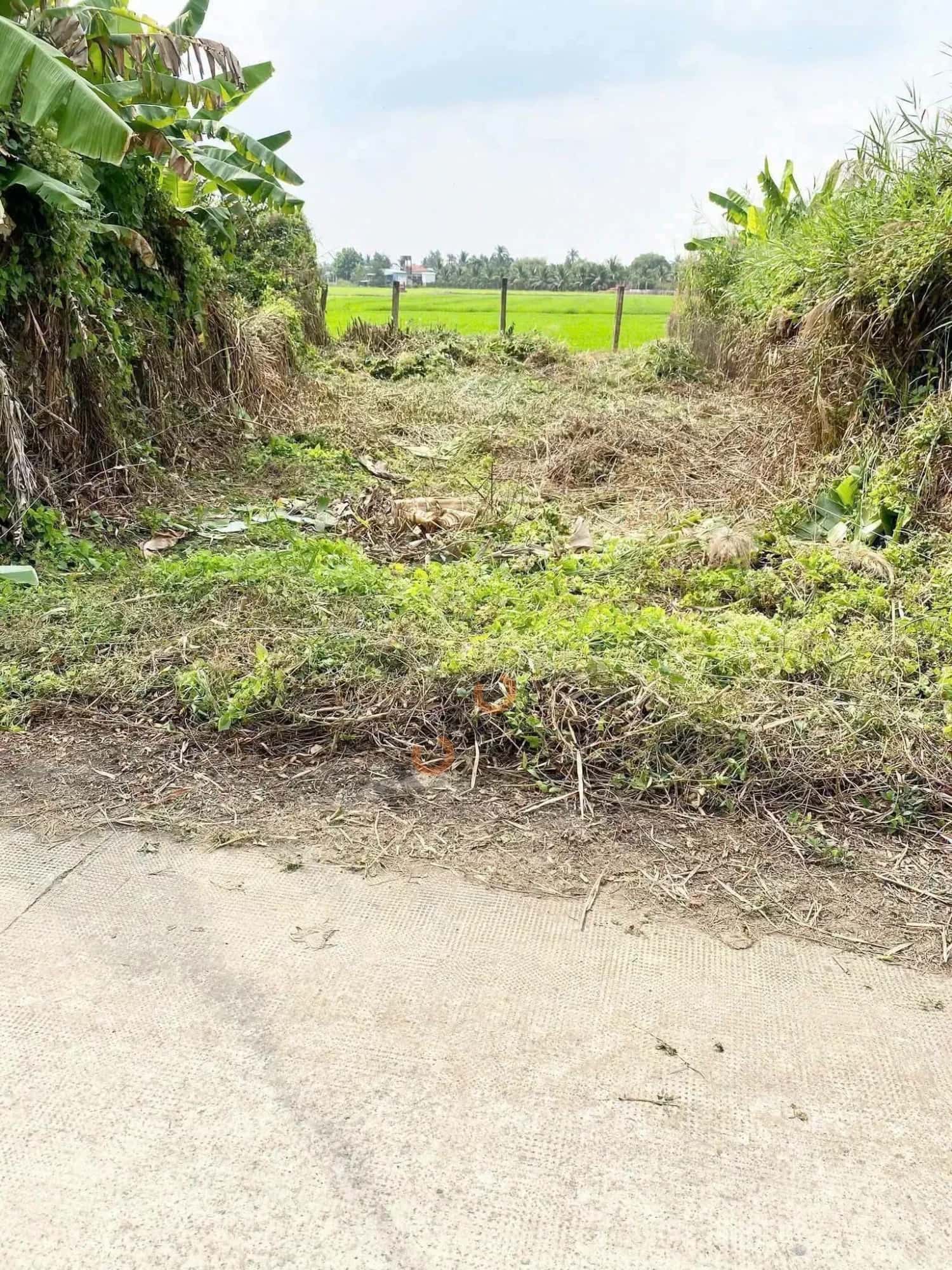 Bán đất đường Kênh 5 Tâm Thành phố Tân An, Long An – giá 500 triệu - ảnh 1