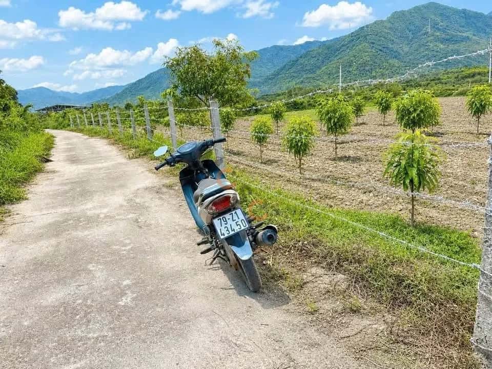 Bán đất Thôn Suối Lau 2  Huyện Cam Lâm, Khánh Hòa – giá 260 triệu — Hình 3