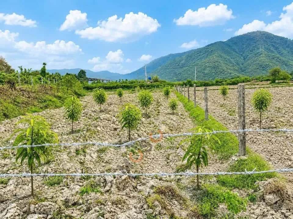 Bán đất Thôn Suối Lau 2  Huyện Cam Lâm, Khánh Hòa – giá 260 triệu