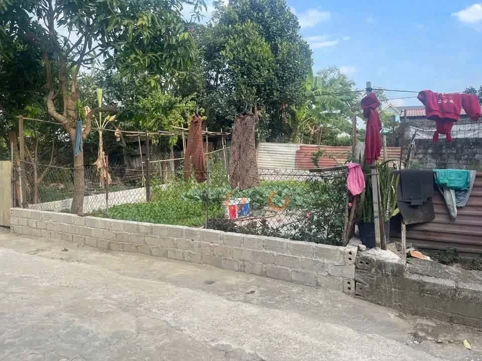 Bán đất Khu tập thể J106, Xóm 4 Huyện Chương Mỹ, TP. Hà Nội – giá 2.3 tỷ Bán đất Khu tập thể J106, Xóm 4 Huyện Chương Mỹ, TP. Hà Nội – giá 2.3 tỷ