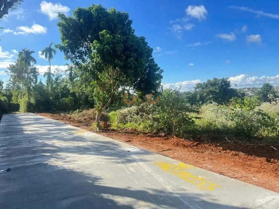 Bán đất Hẻm 19B Thành phố Buôn Ma Thuột, Đắk Lắk – giá 750 triệu — Hình 3
