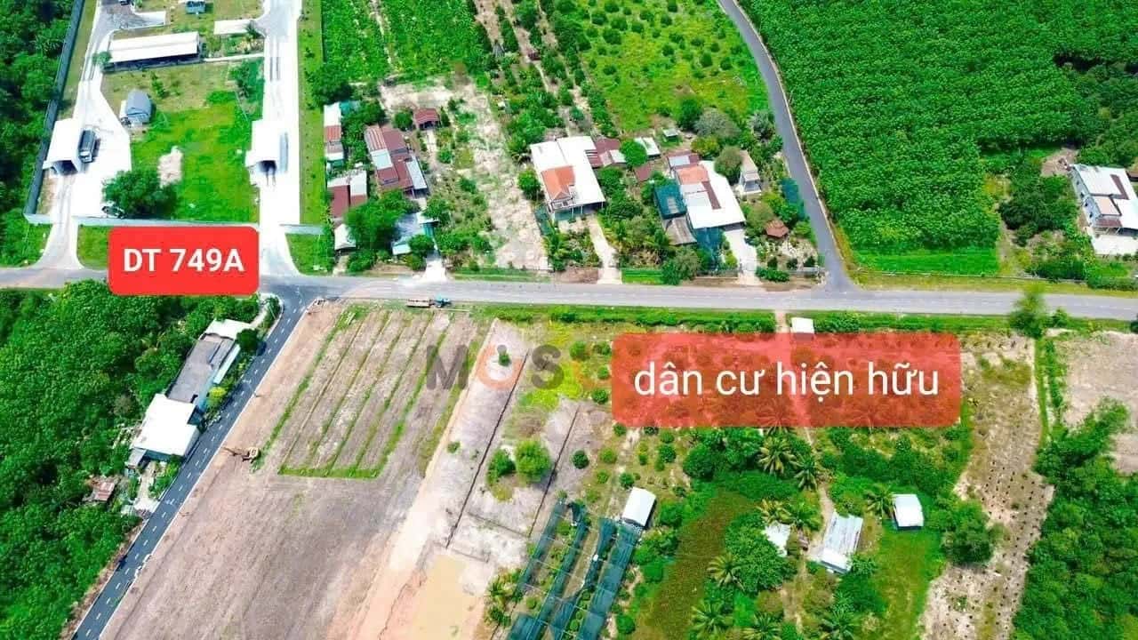 Bán đất DT749B Huyện Dầu Tiếng, Bình Dương – giá 550 triệu