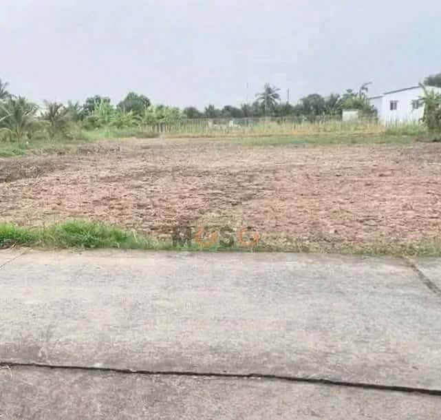 Bán đất Ấp 3 Huyện Châu Thành, Long An – giá 599 triệu Bán đất Ấp 3 Huyện Châu Thành, Long An – giá 599 triệu