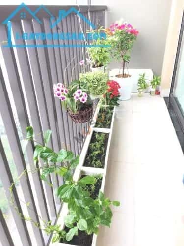 Cho thuê căn hộ chung cư Song Hành Thành phố Thủ Đức, TP.HCM – giá 11 triệu — Hình 3 Cho thuê căn hộ chung cư Song Hành Thành phố Thủ Đức, TP.HCM – giá 11 triệu — Hình 3