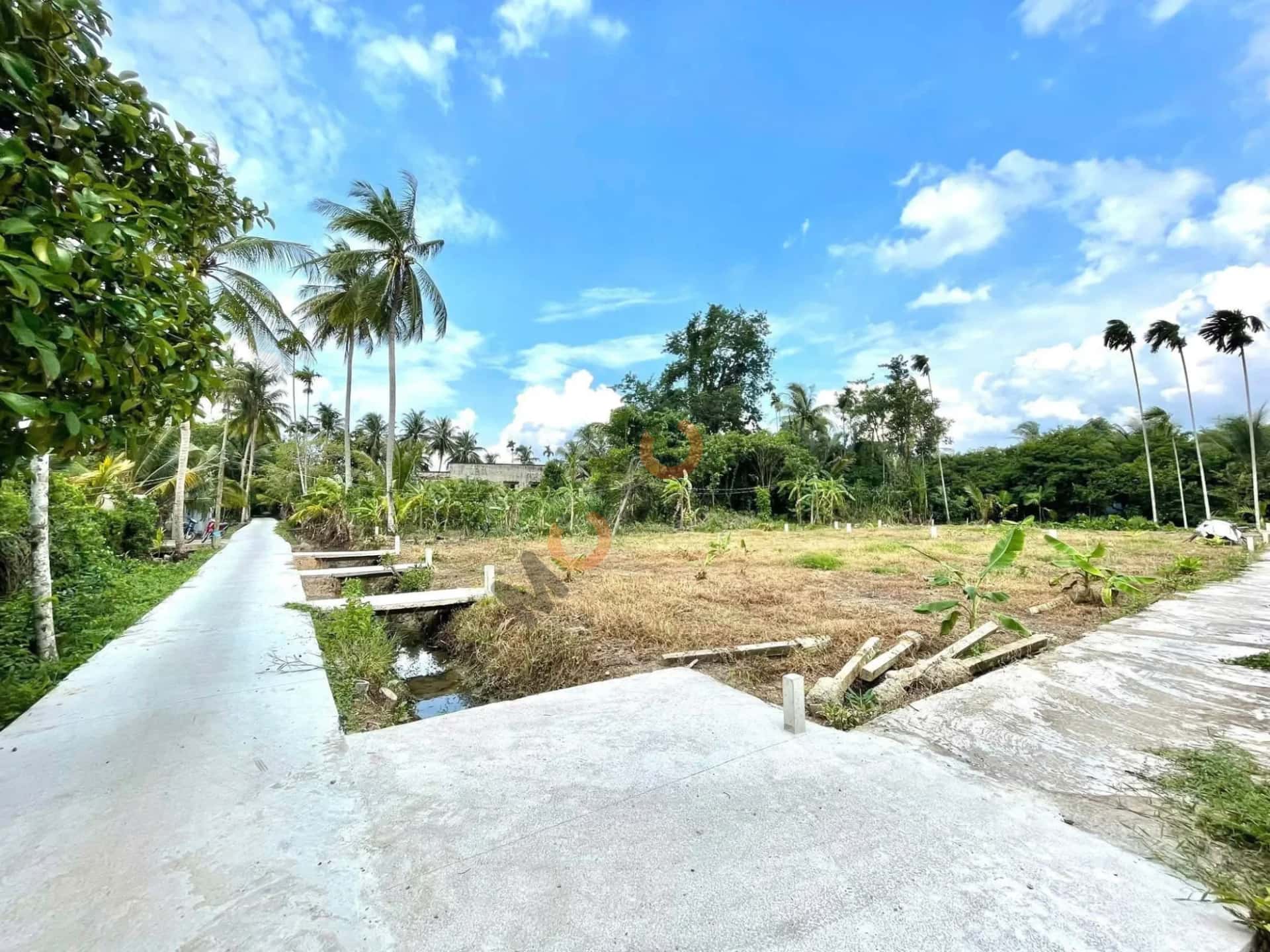 Bán đất đường Bờ Cỏ Sả, Ấp Đông Huyện Châu Thành, Tiền Giang – giá 300 triệu — Hình 2