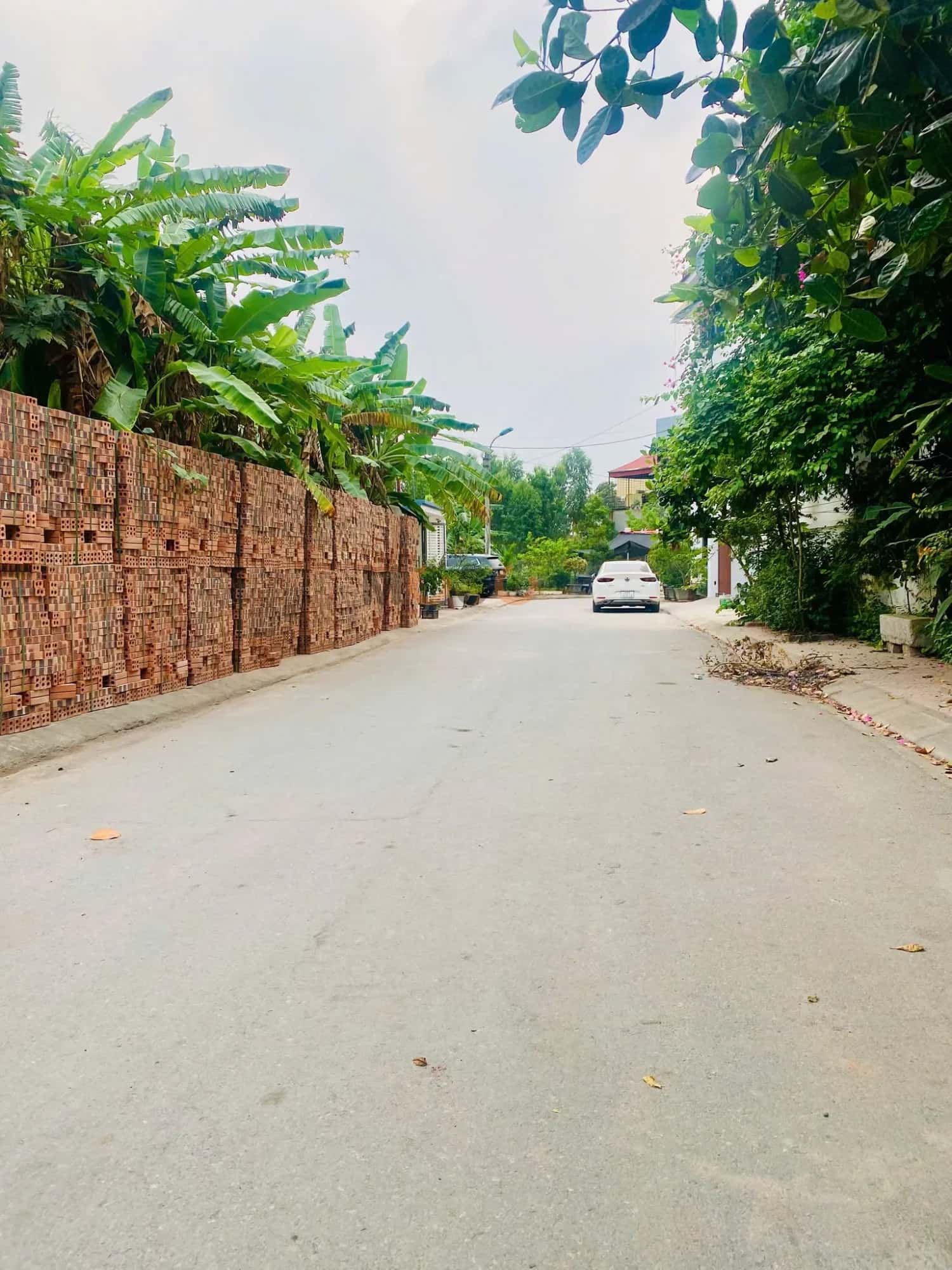 Bán đất Đinh Tiên Hoàng (KDC xen ghép Đôn Hậu) Thành phố Vĩnh Yên, Vĩnh Phúc – giá 2.7 tỷ - ảnh 4