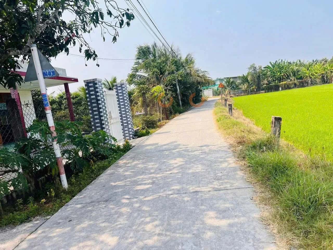 Bán đất đường Xuân Hòa Thành phố Tân An, Long An – giá 680 triệu — Hình 2