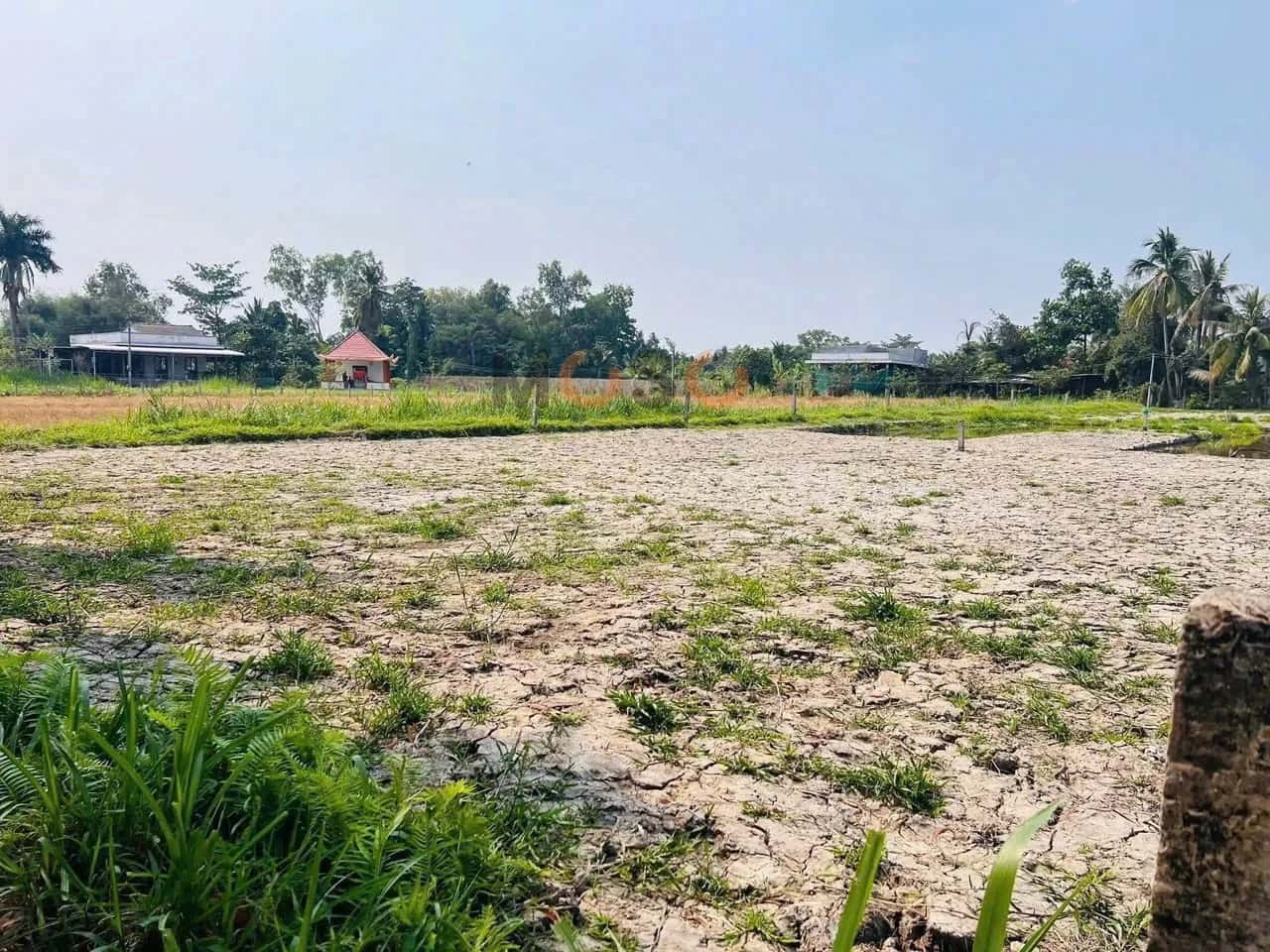 Bán đất đường Xuân Hòa Thành phố Tân An, Long An – giá 680 triệu