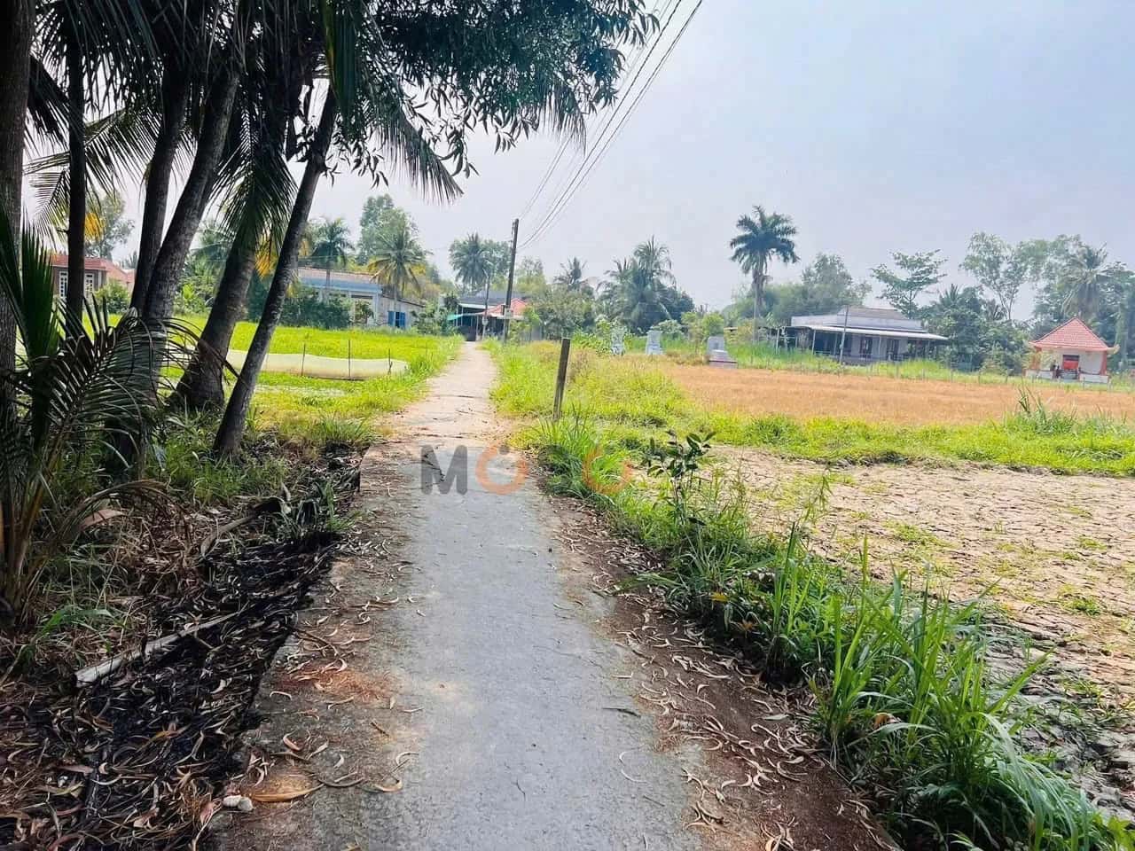 Bán đất đường Xuân Hòa Thành phố Tân An, Long An – giá 680 triệu — Hình 3