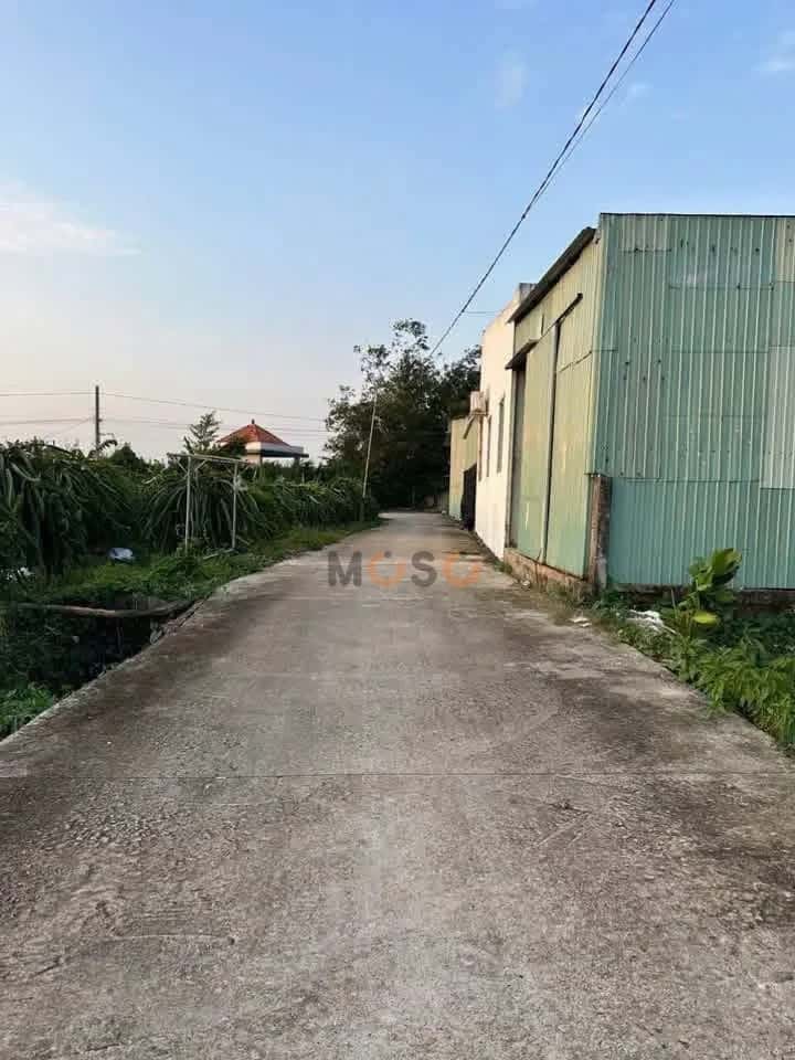 Bán đất Ấp Long Bình Huyện Châu Thành, Long An – giá 550 triệu — Hình 2 Bán đất Ấp Long Bình Huyện Châu Thành, Long An – giá 550 triệu — Hình 2