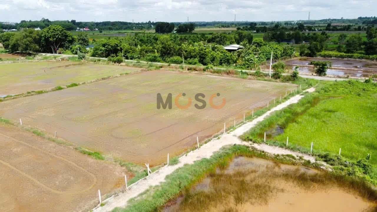 Bán đất Bưng Tràm Huyện Củ Chi, TP.HCM – giá 1.1 tỷ - ảnh 7